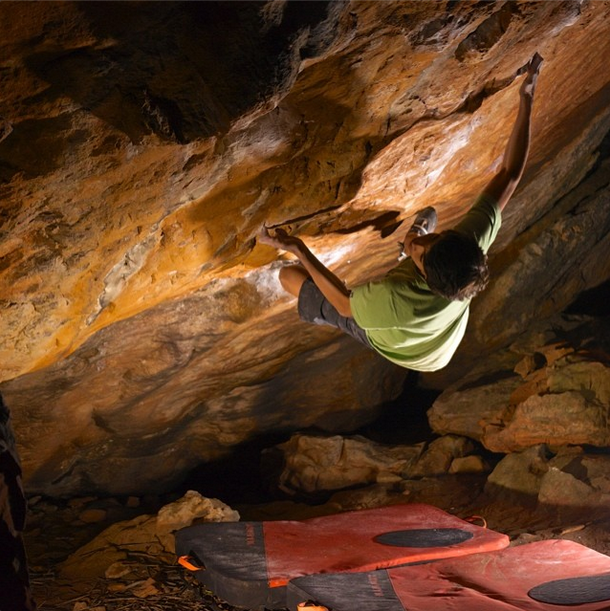 Mirko no Golden Shadow V14
